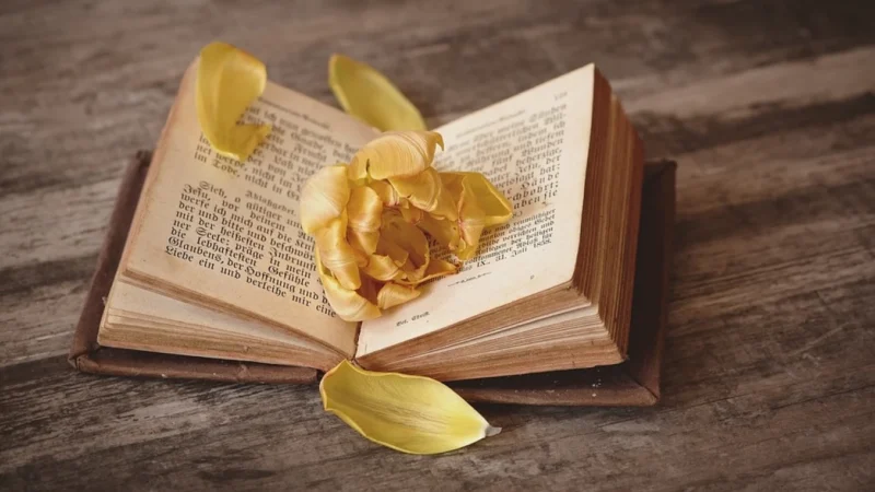 Cómo la cultura se convierte en la mejor cura contra la prisa